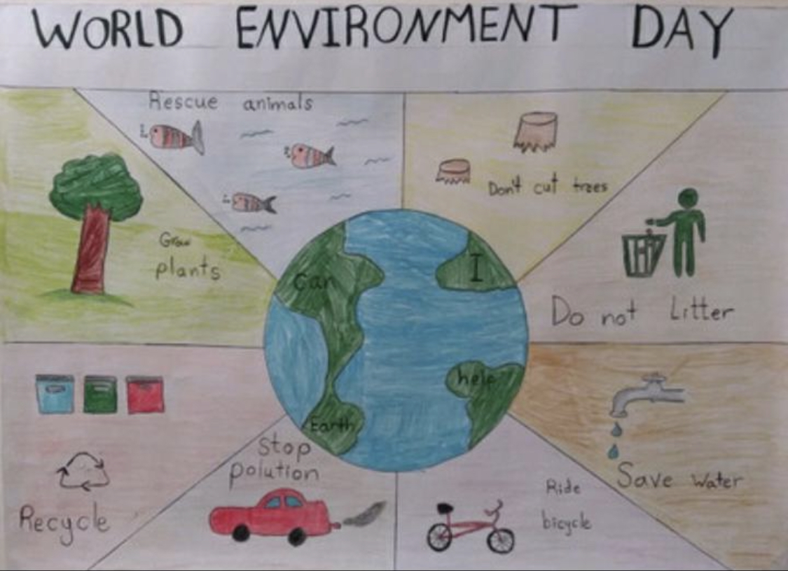 Rawafed Private School – World Environment Day 2020 – Jane Goodall's ...