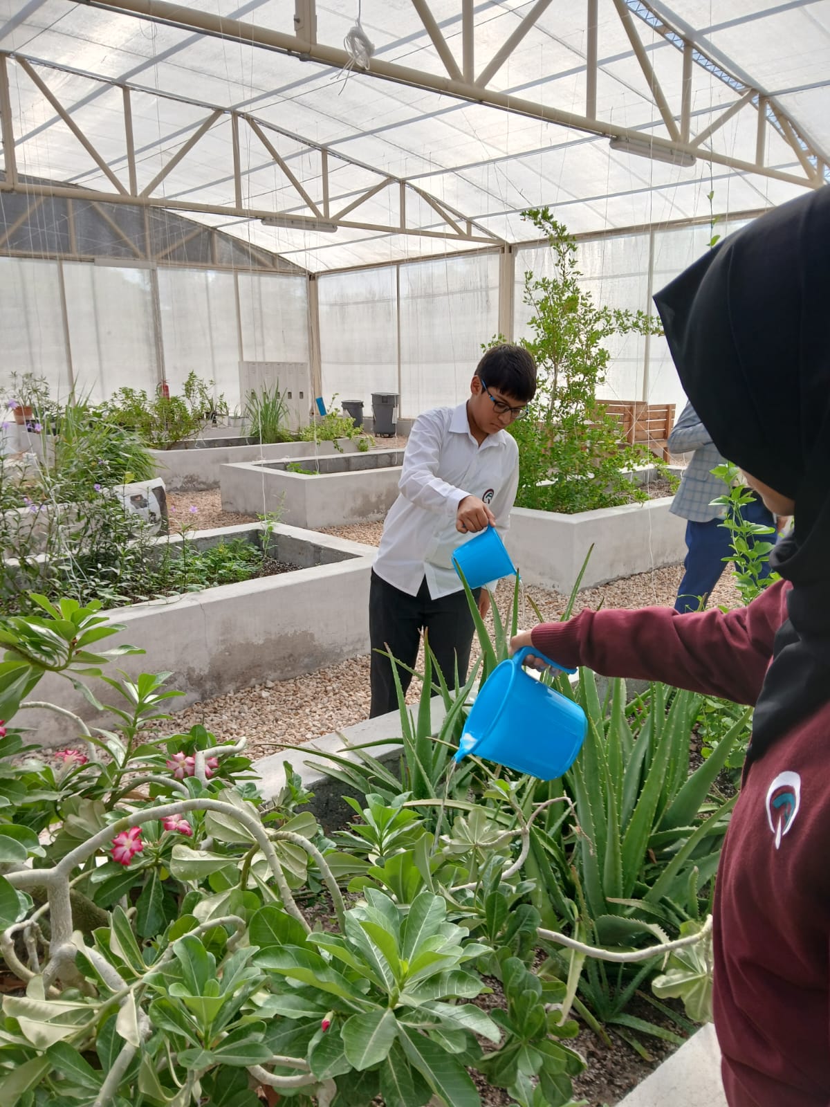 Hadiqaa Microfarm Visit