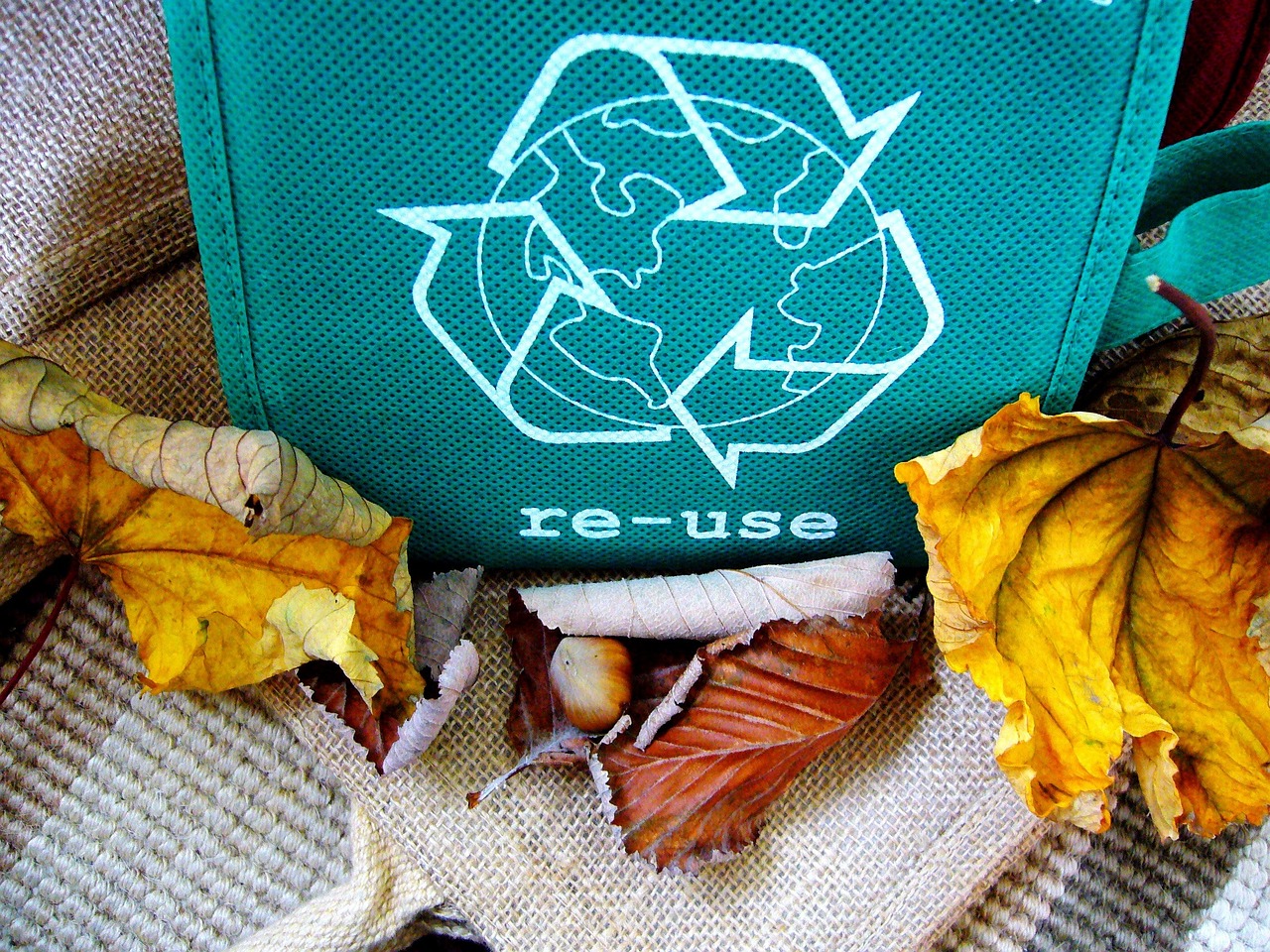 Reduce, Reuse, Recycle X Regent International School